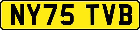 NY75TVB