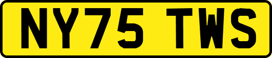 NY75TWS