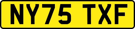 NY75TXF