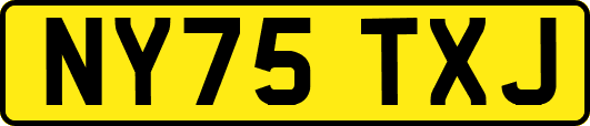 NY75TXJ