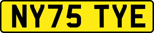 NY75TYE