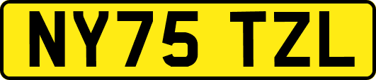 NY75TZL
