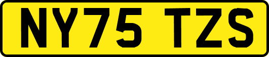 NY75TZS