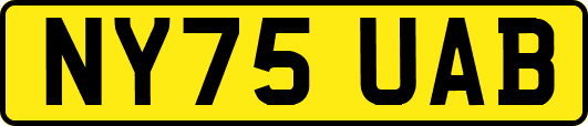 NY75UAB