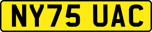 NY75UAC
