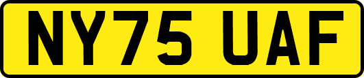 NY75UAF