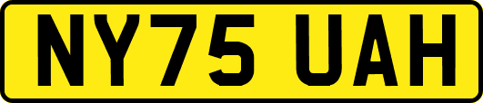 NY75UAH