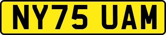 NY75UAM