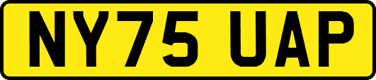 NY75UAP