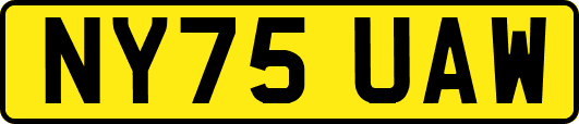 NY75UAW