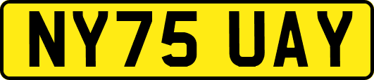 NY75UAY
