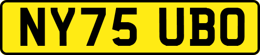 NY75UBO
