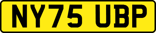 NY75UBP