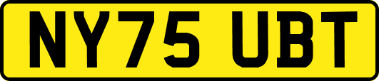 NY75UBT