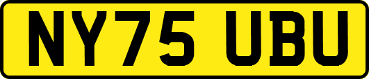 NY75UBU