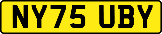 NY75UBY