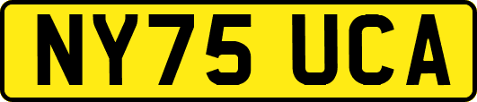 NY75UCA