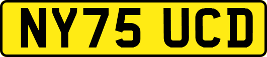 NY75UCD