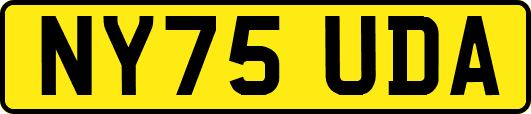 NY75UDA