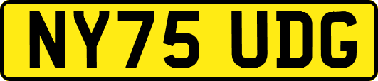 NY75UDG