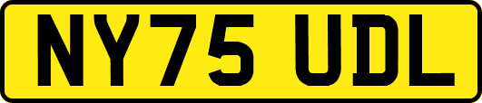 NY75UDL