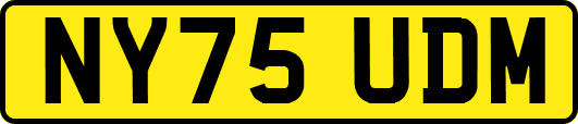 NY75UDM