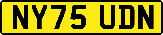 NY75UDN