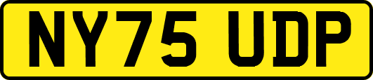 NY75UDP