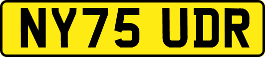 NY75UDR