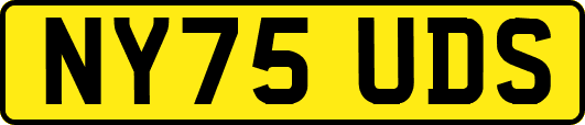 NY75UDS
