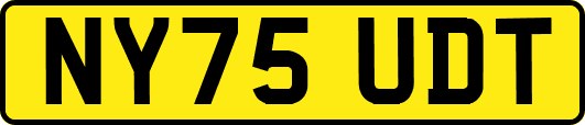 NY75UDT