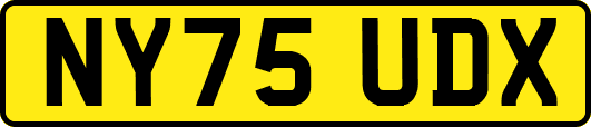 NY75UDX