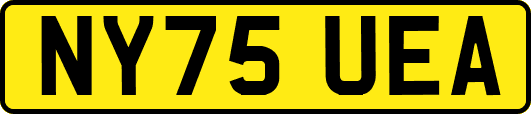 NY75UEA