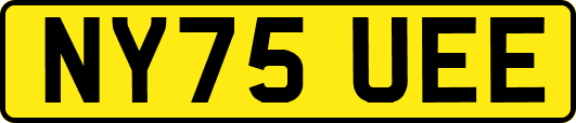 NY75UEE