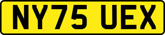 NY75UEX