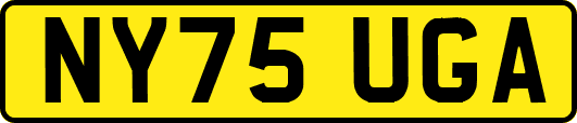 NY75UGA
