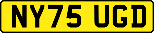 NY75UGD