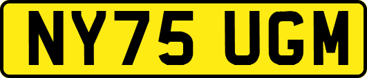 NY75UGM