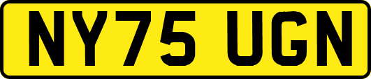 NY75UGN