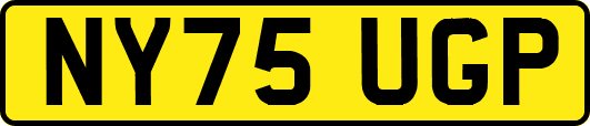 NY75UGP