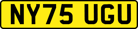 NY75UGU