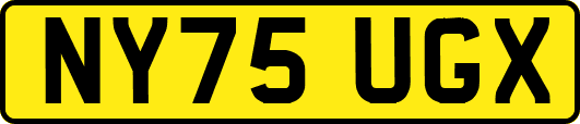NY75UGX