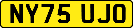 NY75UJO