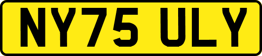 NY75ULY
