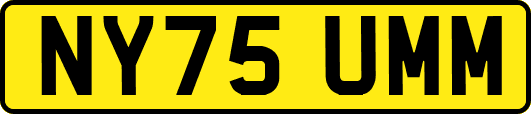 NY75UMM