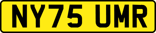 NY75UMR