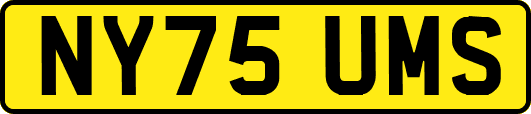NY75UMS