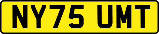 NY75UMT