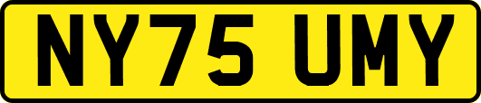 NY75UMY