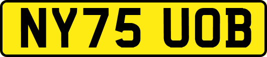 NY75UOB